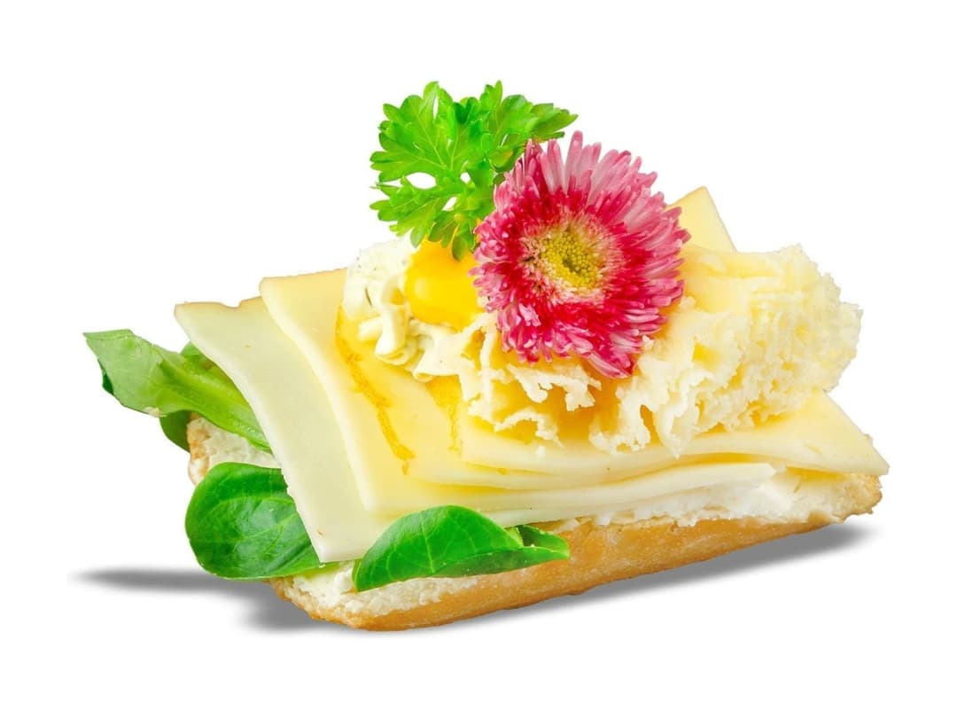 Käse